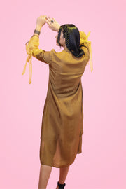 Organza Sleeve one piece